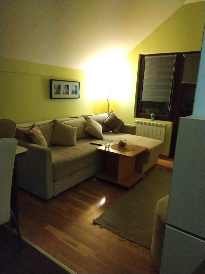 Apartment Gledovic Zlatibor Exterior foto